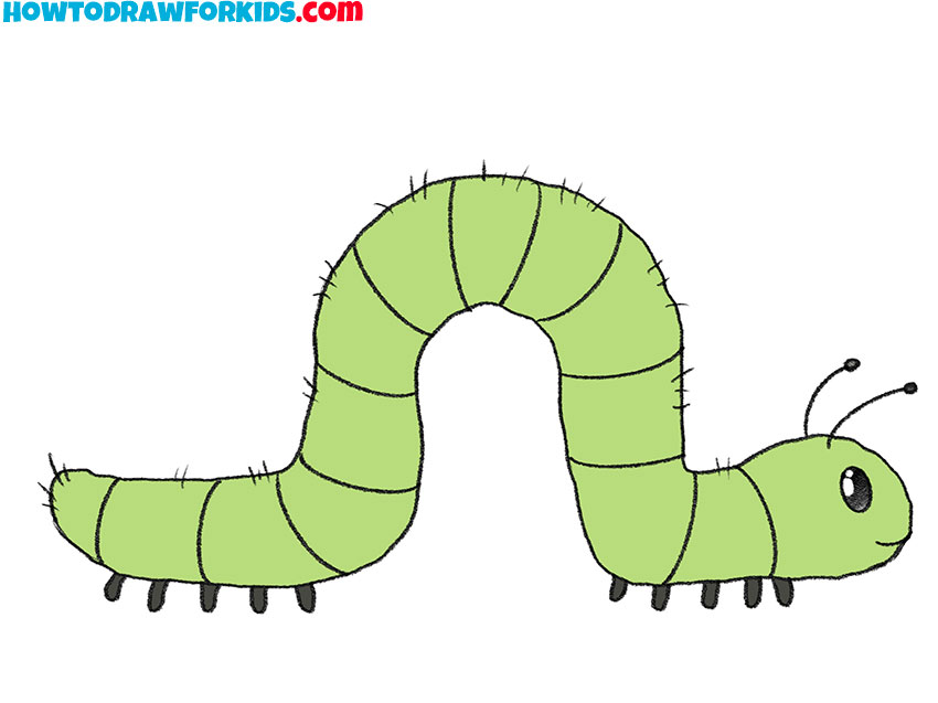 how to draw a caterpillar step by step easy