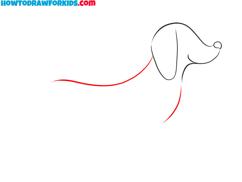 how to draw a dachshund for kids