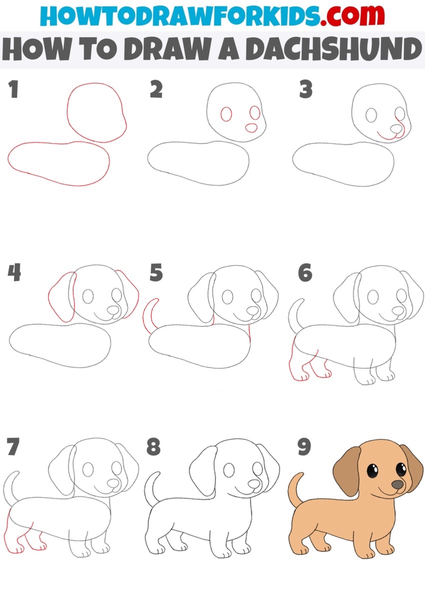 how to draw a dachshund step by step
