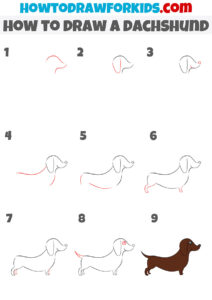 How to Draw a Dachshund - Easy Drawing Tutorial For Kids