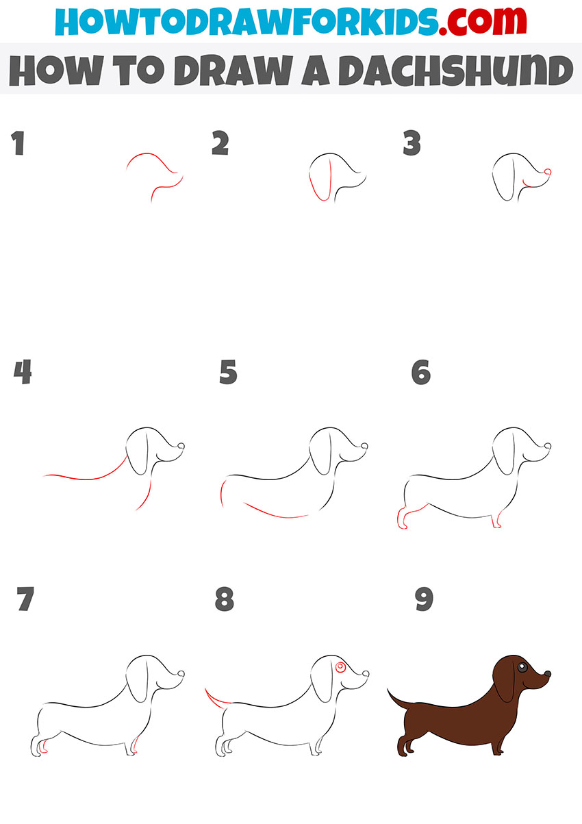 how to draw a dachshund step by step