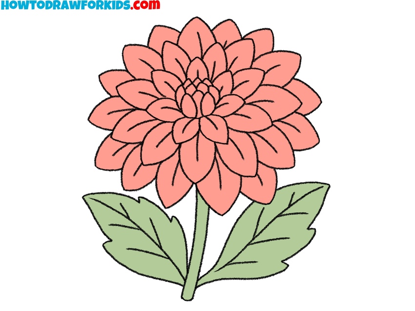 how to draw a dahlia featured image