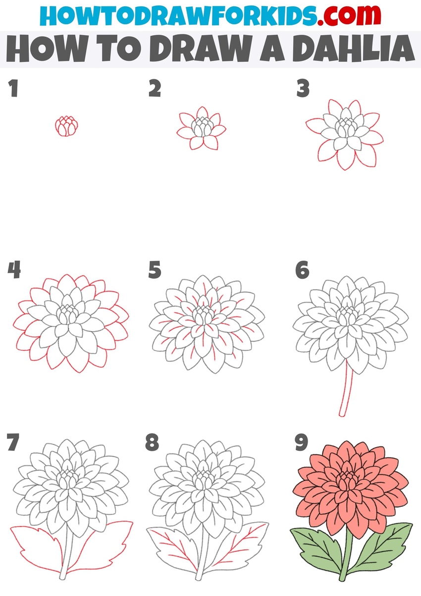 how to draw a dahlia step by step