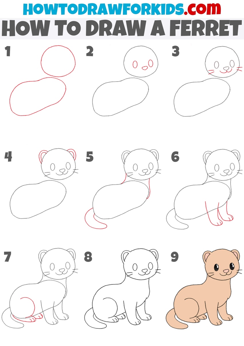 how to draw a ferret step by step