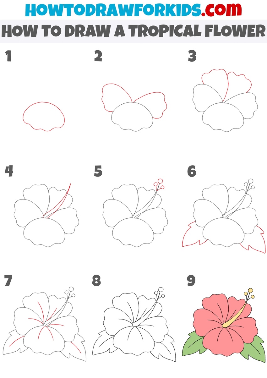 how to draw a hawaiian flower step by step