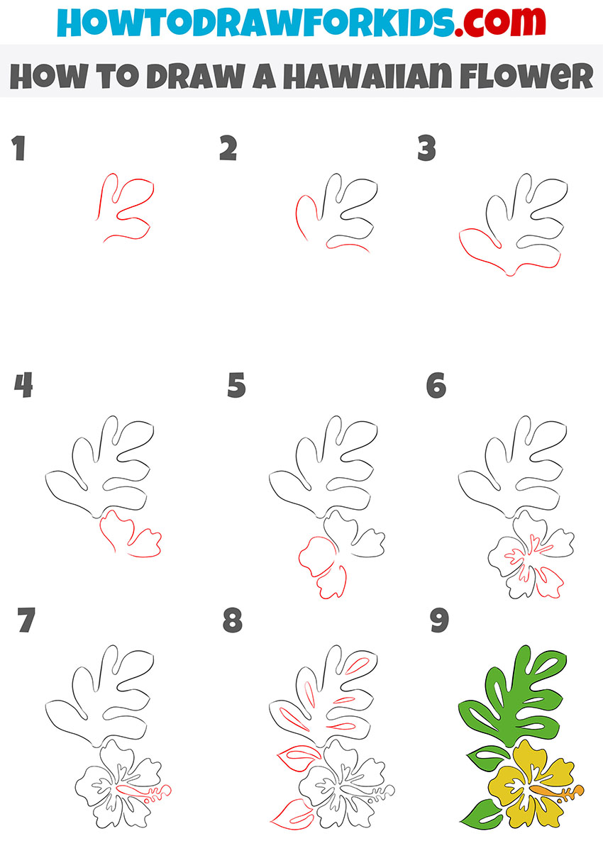 how to draw a hawaiian flower step by step