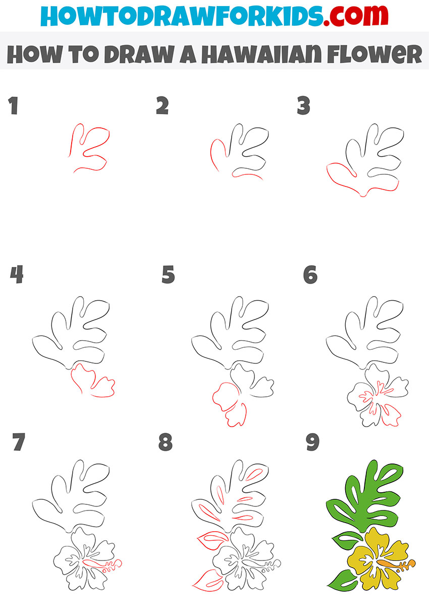 How to Draw a Hawaiian Flower Easy Drawing Tutorial For Kids