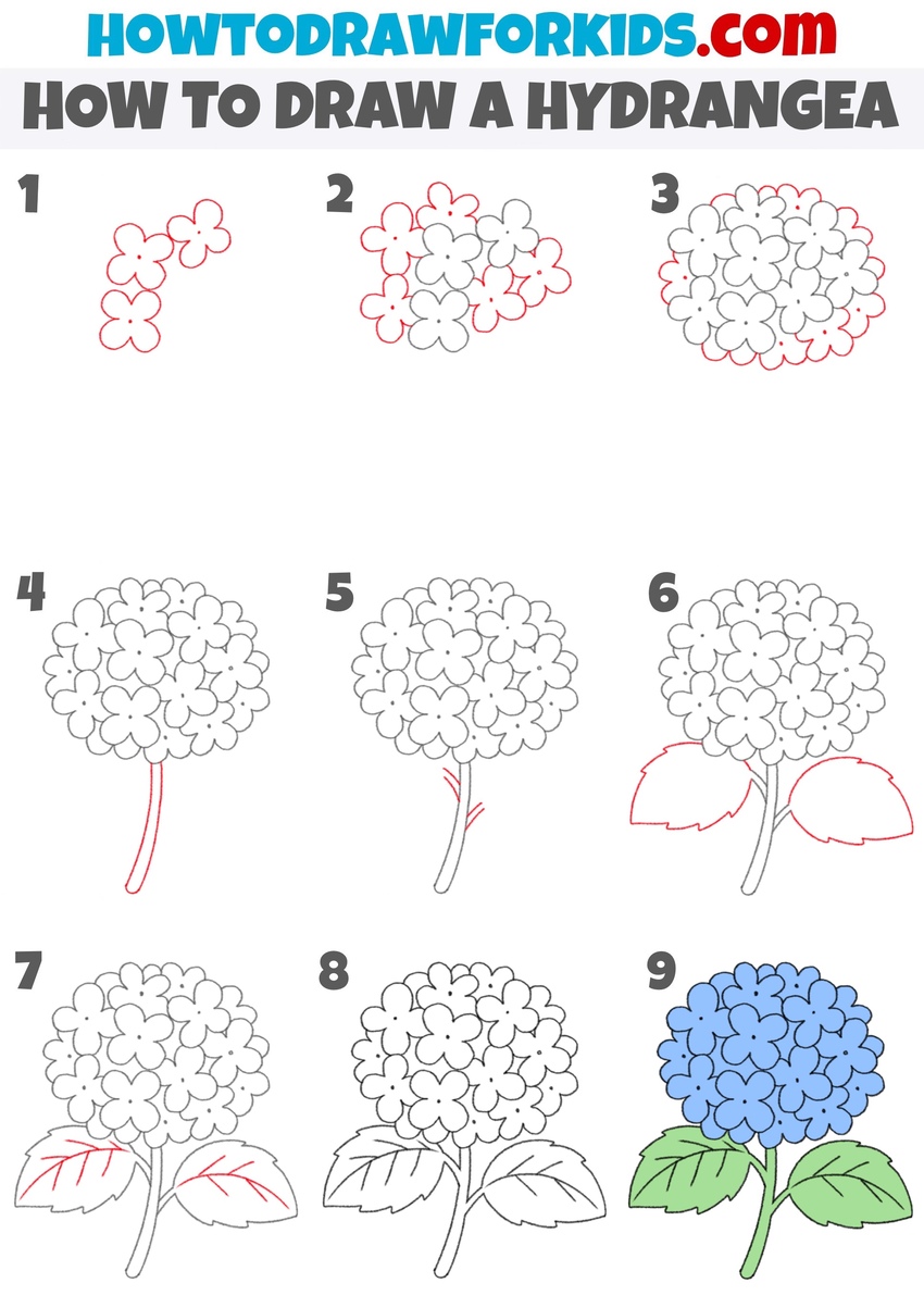 how to draw a hydrangea featured image