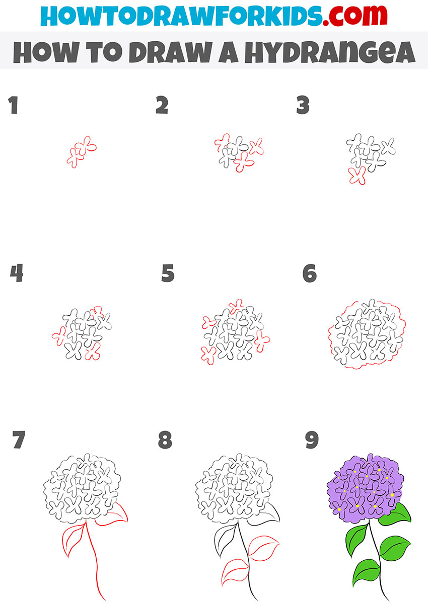 how to draw a hydrangea step by step