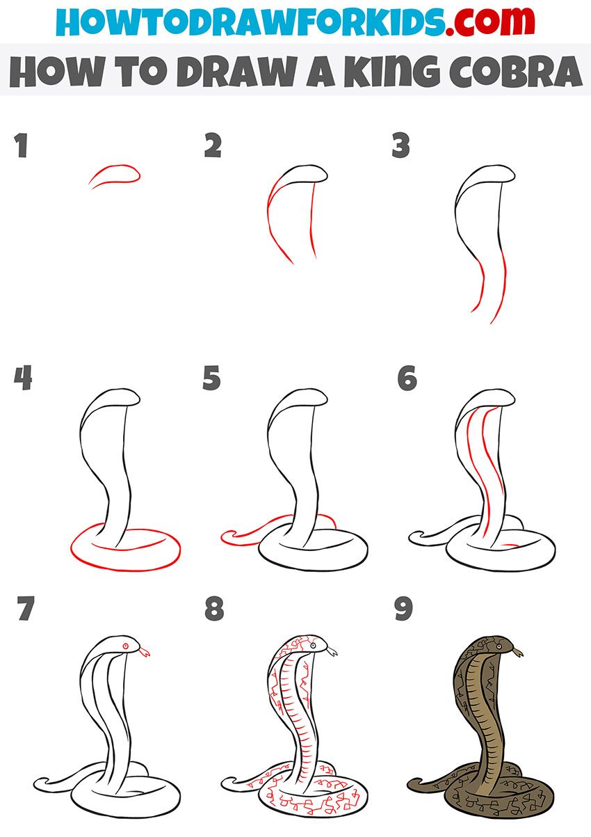 How To Draw A King Cobra - Easy Drawing Tutorial For Kids