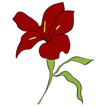 How to Draw a Lily