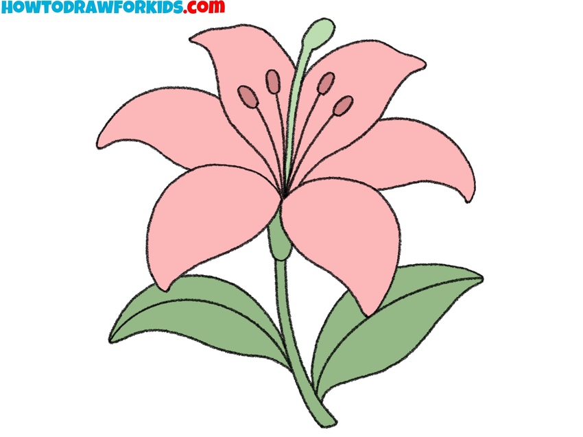 how to draw a lily featured image