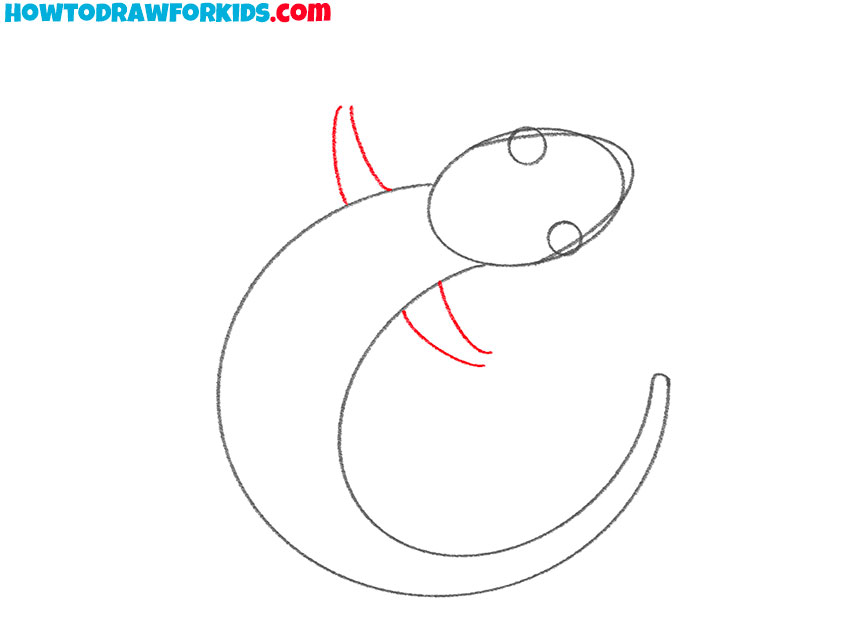 how to draw a lizard for kids easy