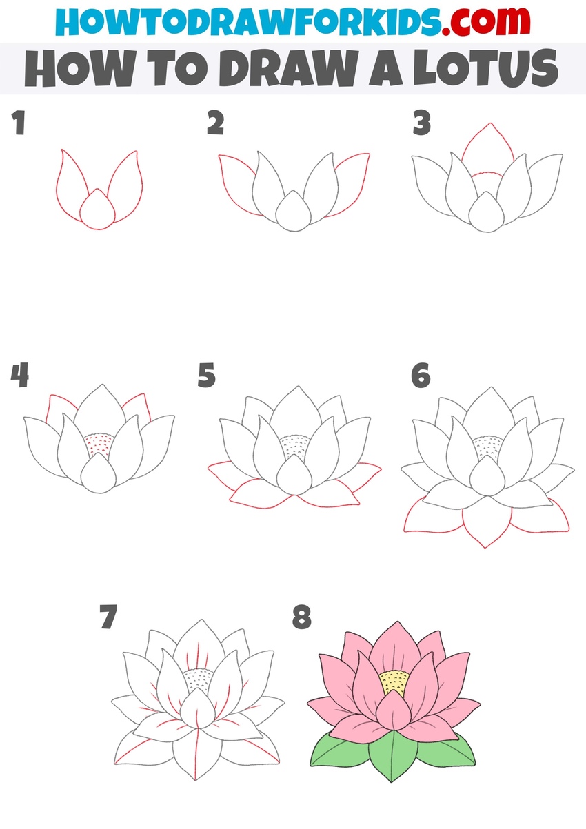 how to draw a lotus step by step