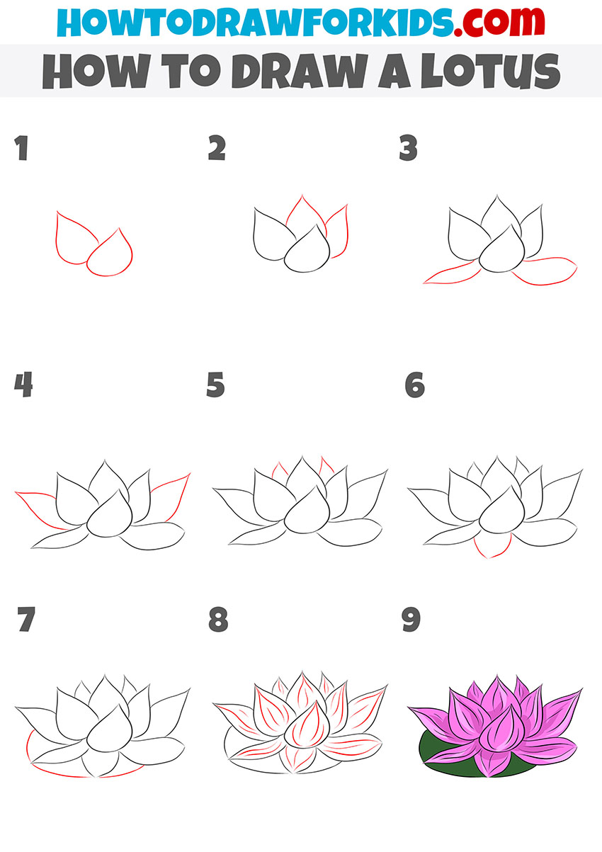 how to draw a lotus step by step