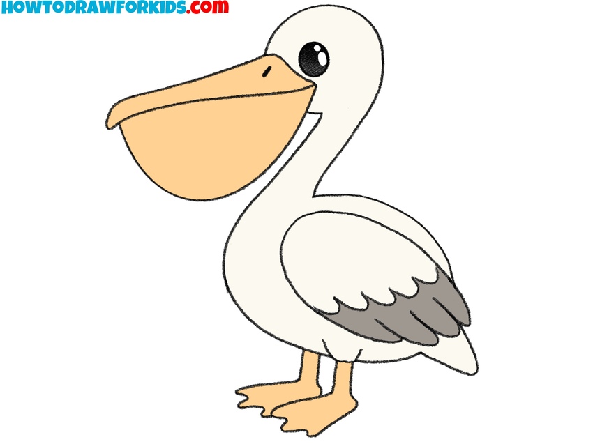 how to draw a pelican featured image