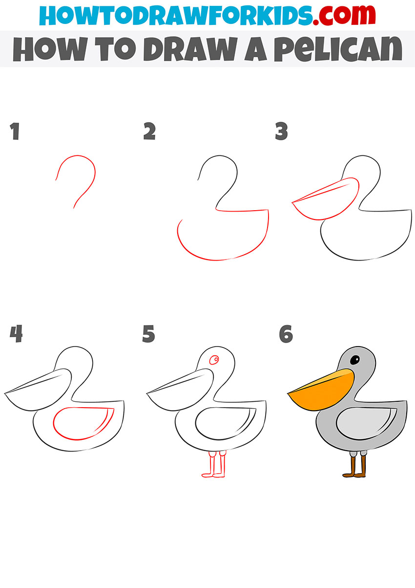 how to draw a pelican step by step