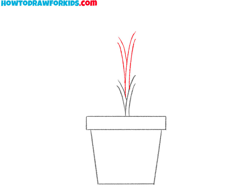 drawing of a standardized bean plant used in our experiments | Download  Scientific Diagram