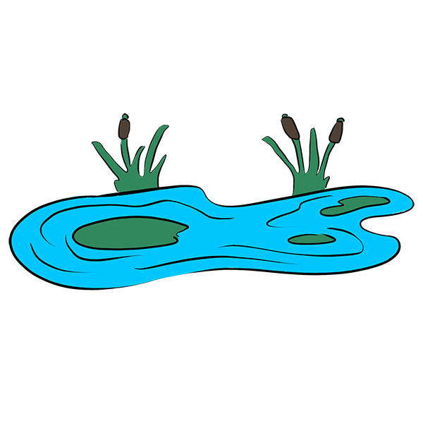 How to Draw a Pond