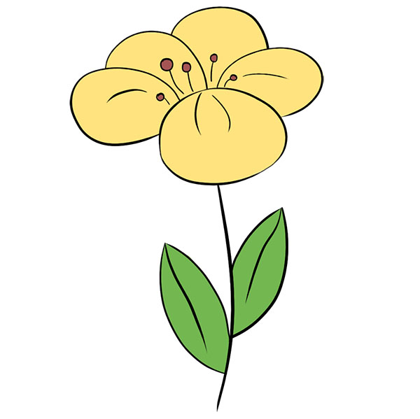 How to Draw a Pretty Flower