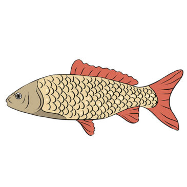 How to Draw a Realistic Fish