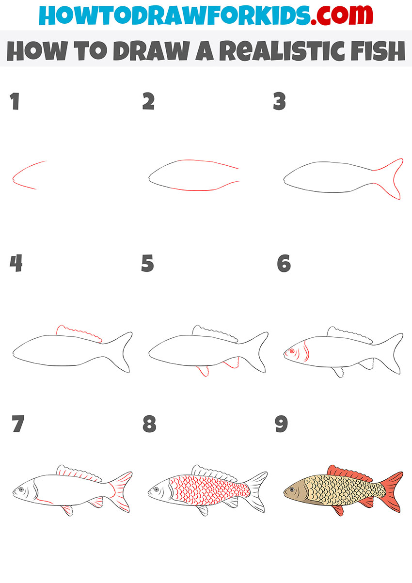how to draw a realistic fish step by step