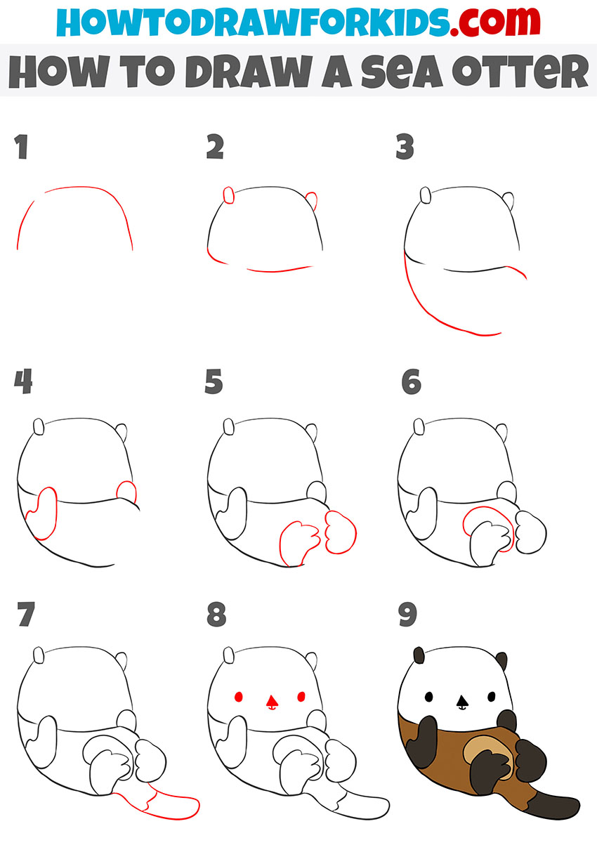 how to draw a sea otter face