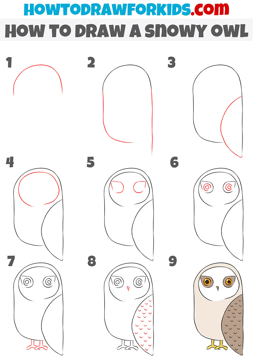 how to draw a snowy owl step by step