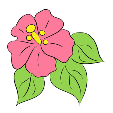 How to Draw a Tropical Flower