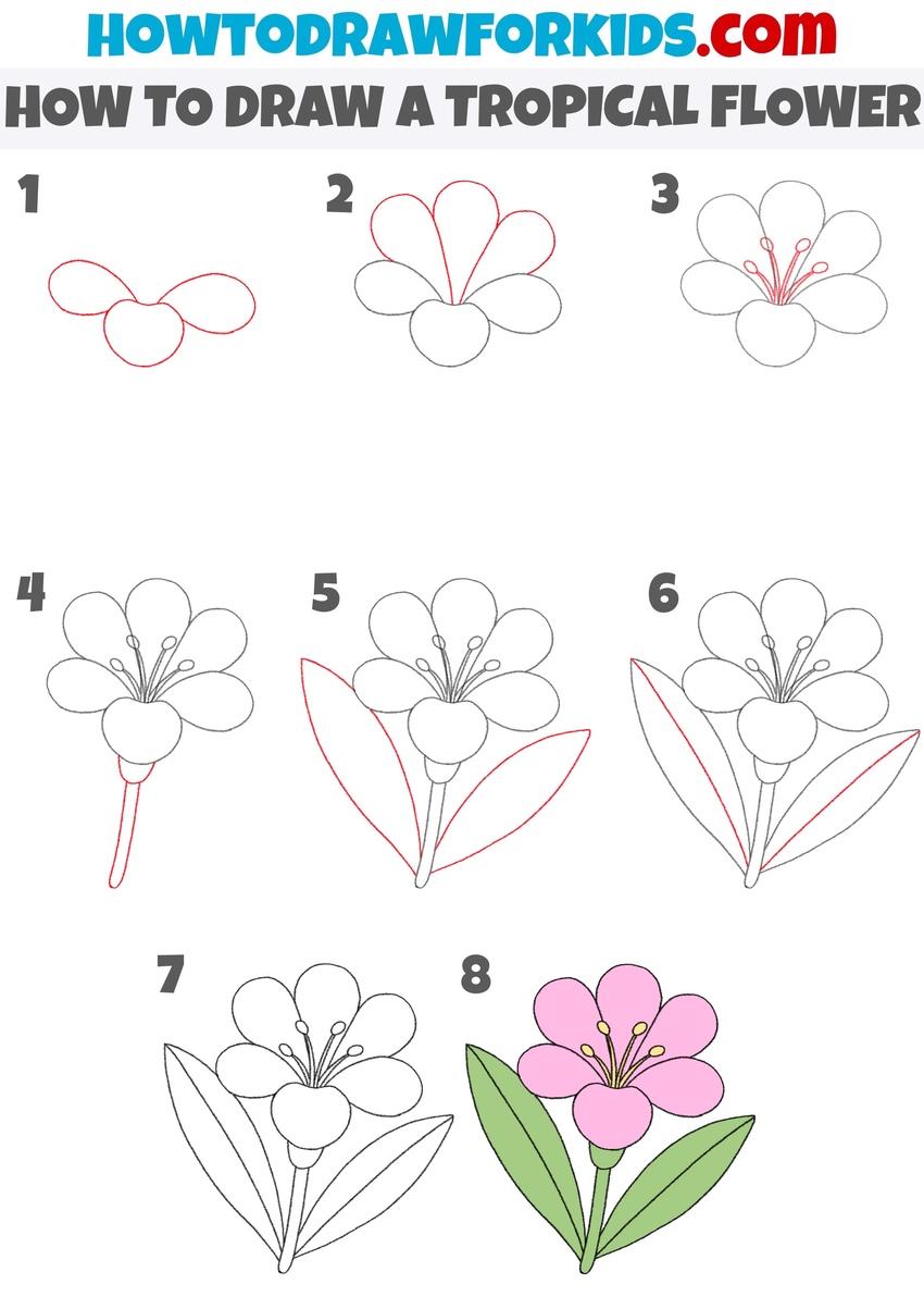 how to draw a tropical flower step by step