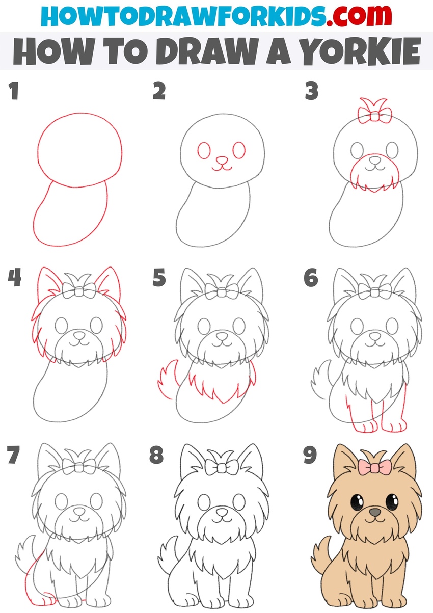 how to draw a yorkie step by step