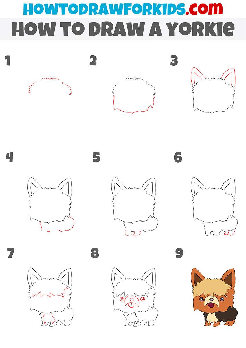 how to draw a yorkie step by step