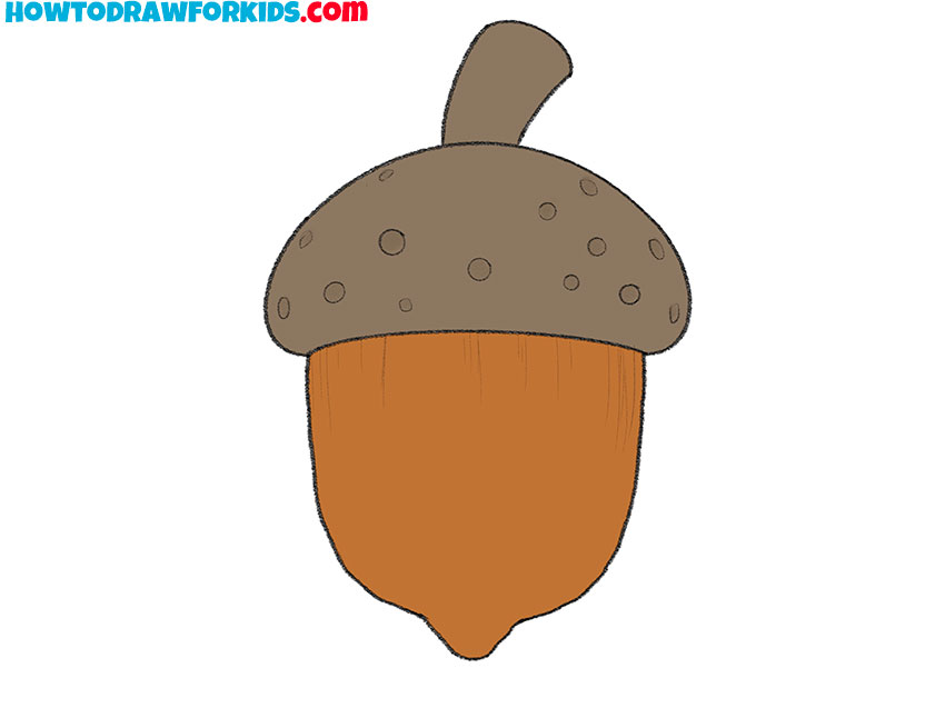 how to draw an acorn step by step easy