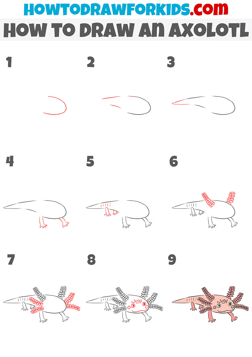 how to draw an axolotl step by step