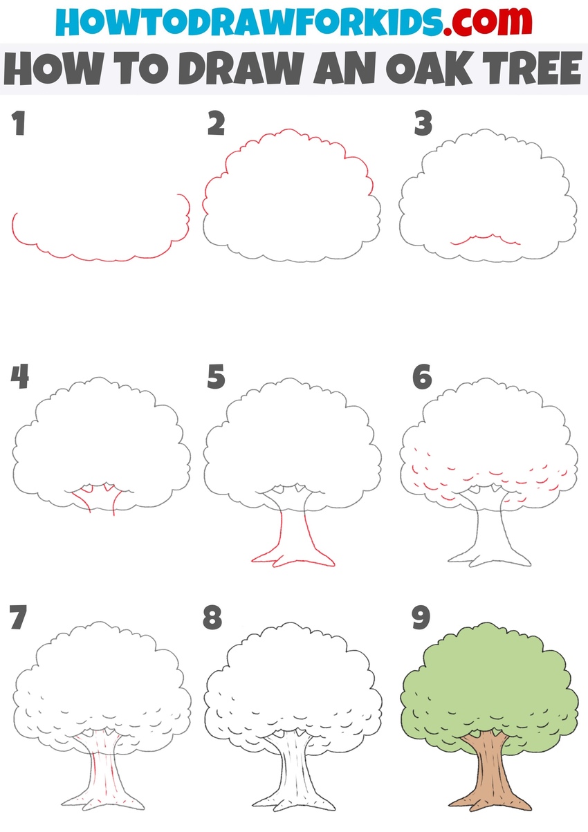 How to draw an oak tree step by step