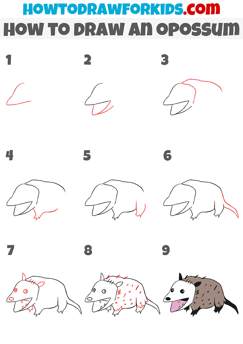 How To Draw An Opossum Easy Drawing Tutorial For Kids