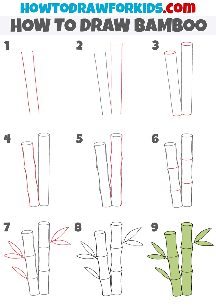 how to draw bamboo step by step