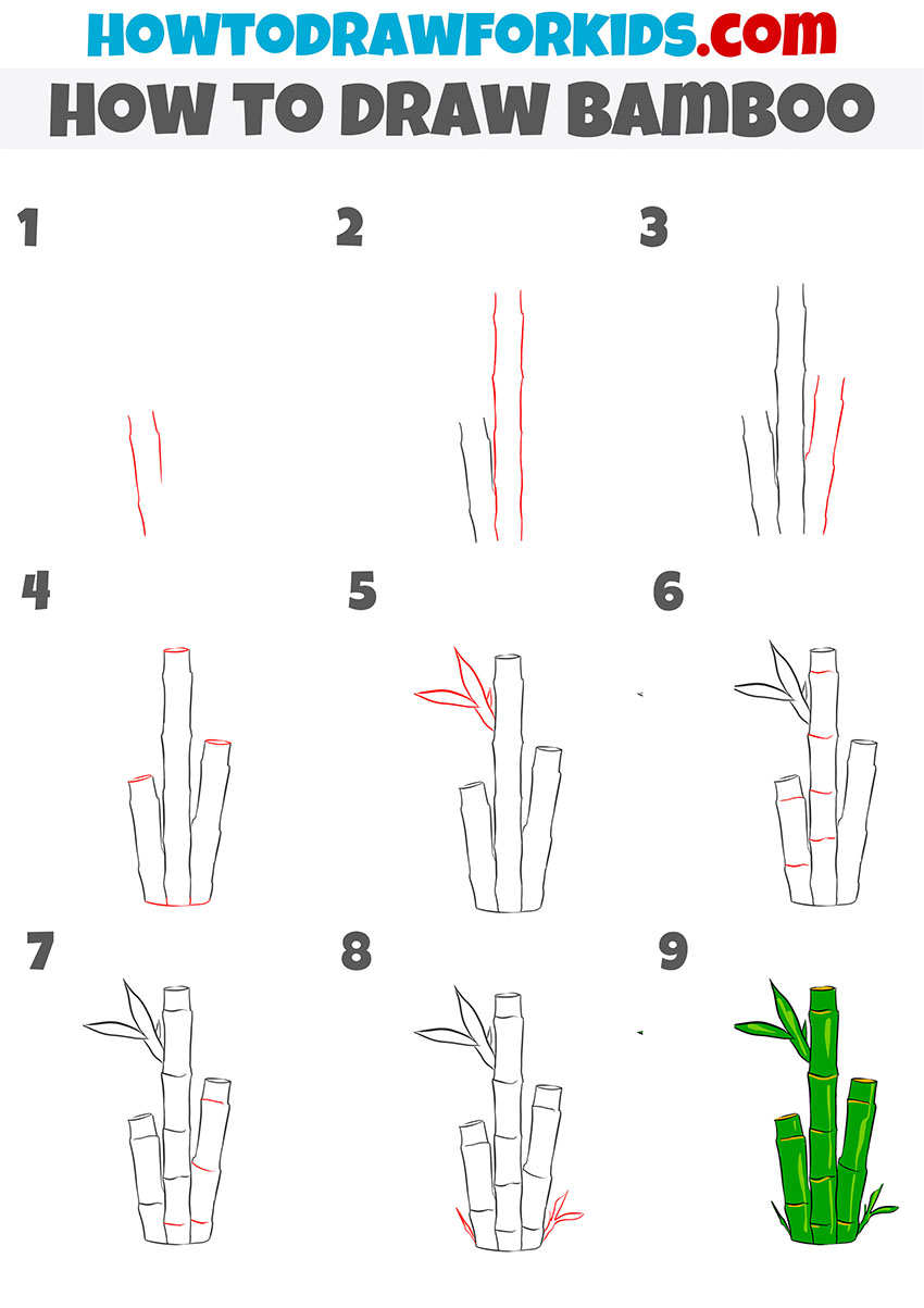 how to draw bamboo step by step