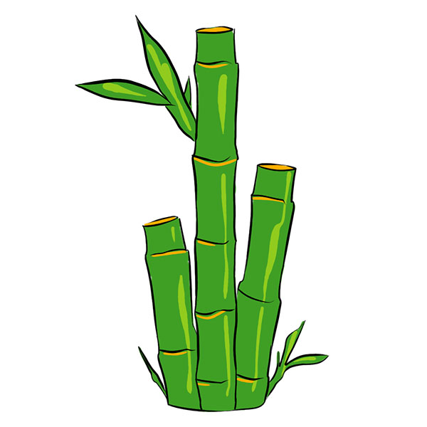 How to Draw Bamboo