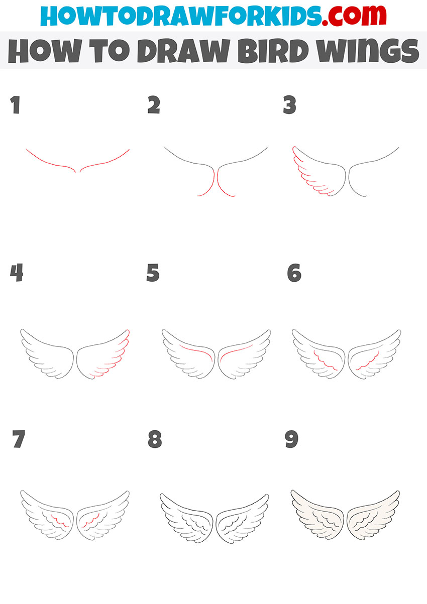 bird wings step by step drawing guide