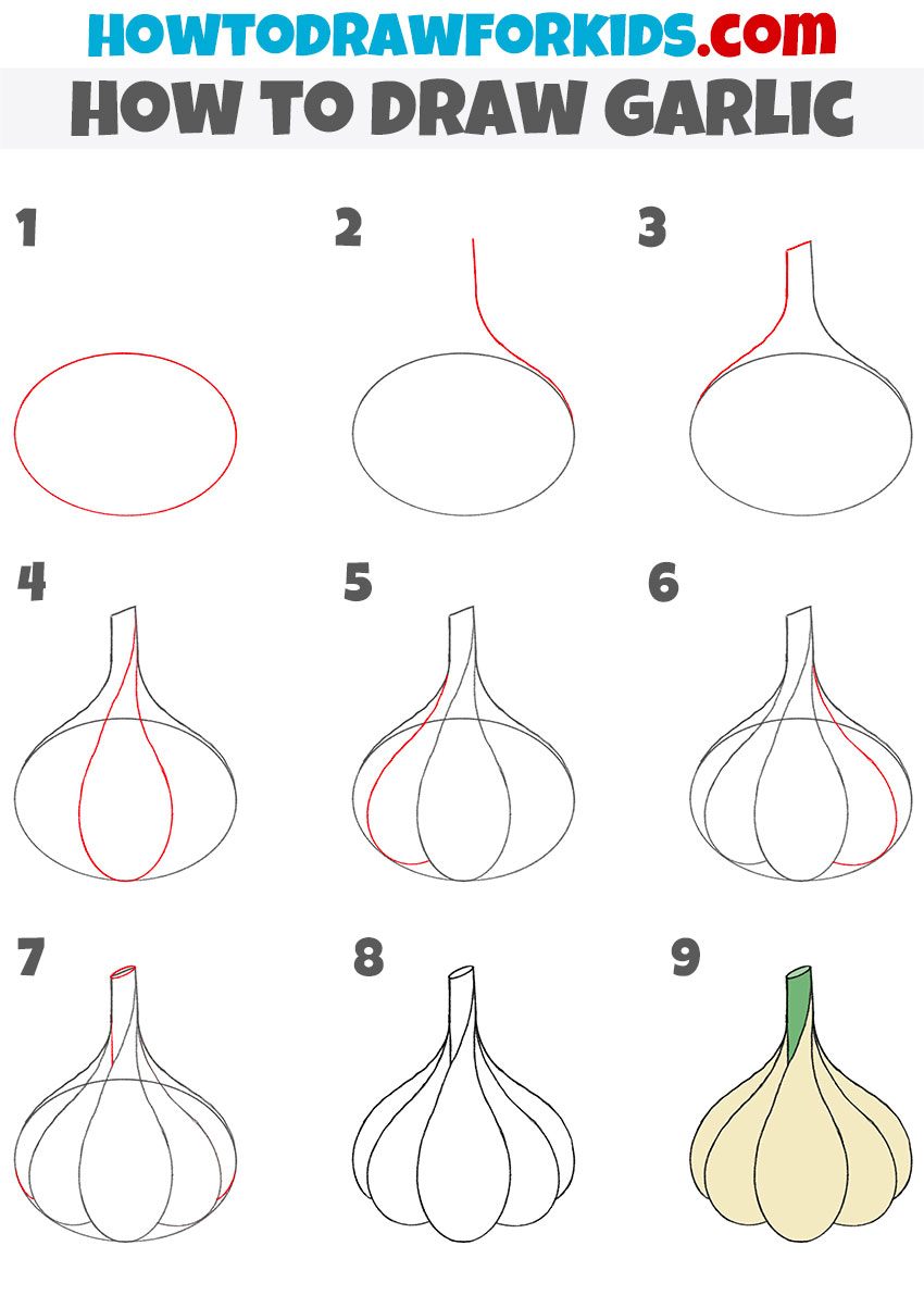 how to draw garlic step by step