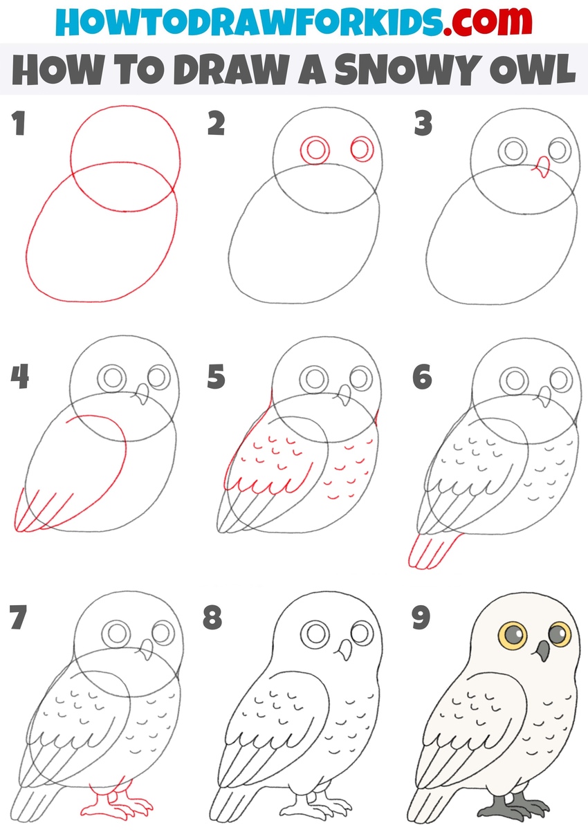 how to draw snowy owl step by step