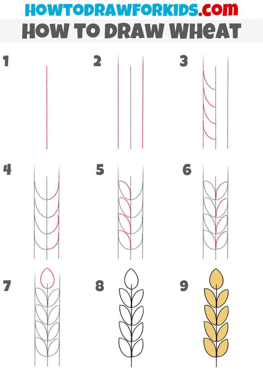 how to draw wheat step by step