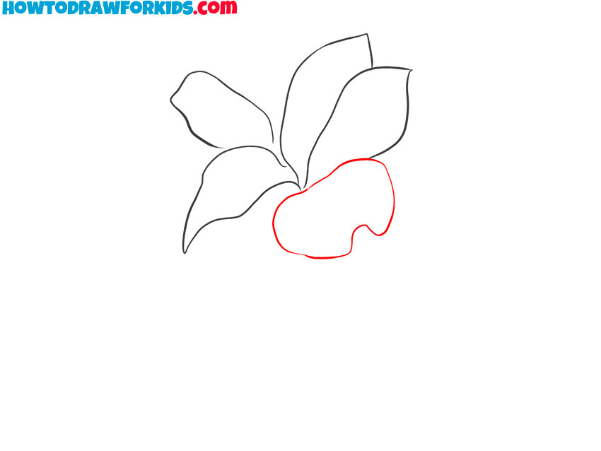 lily drawing tutorial for kids