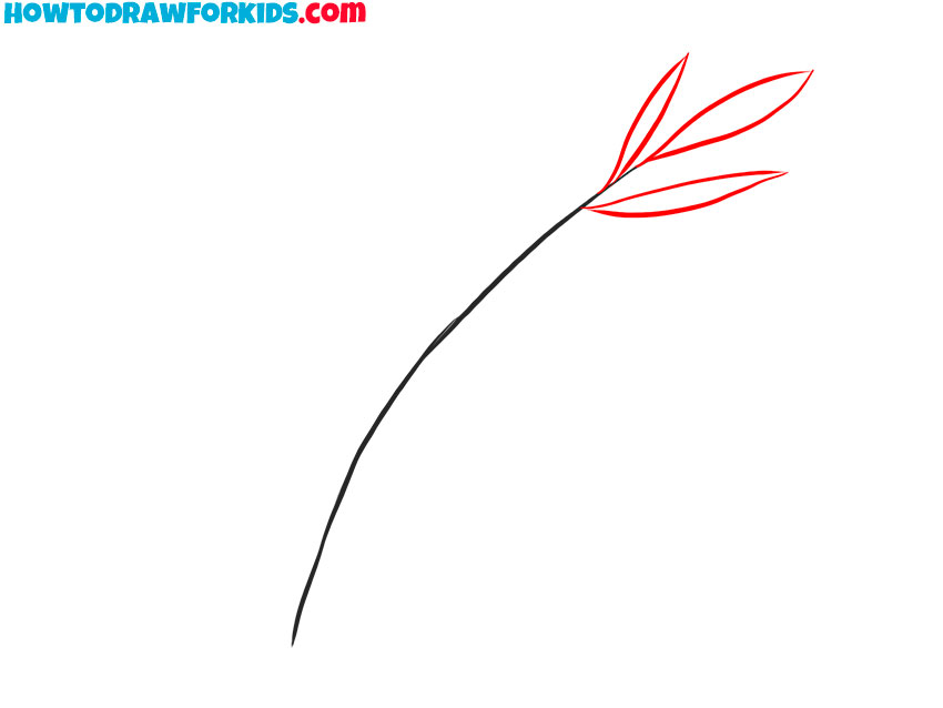 how to draw a fern leaf