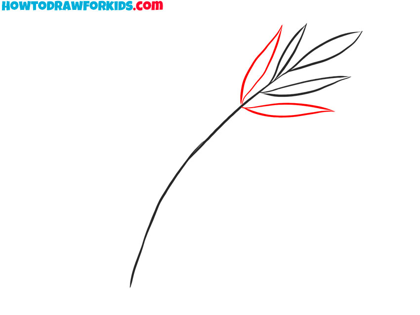 how to draw a fern easy