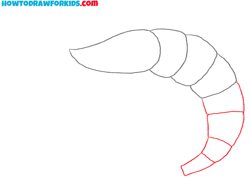 how to draw a shrimp easy