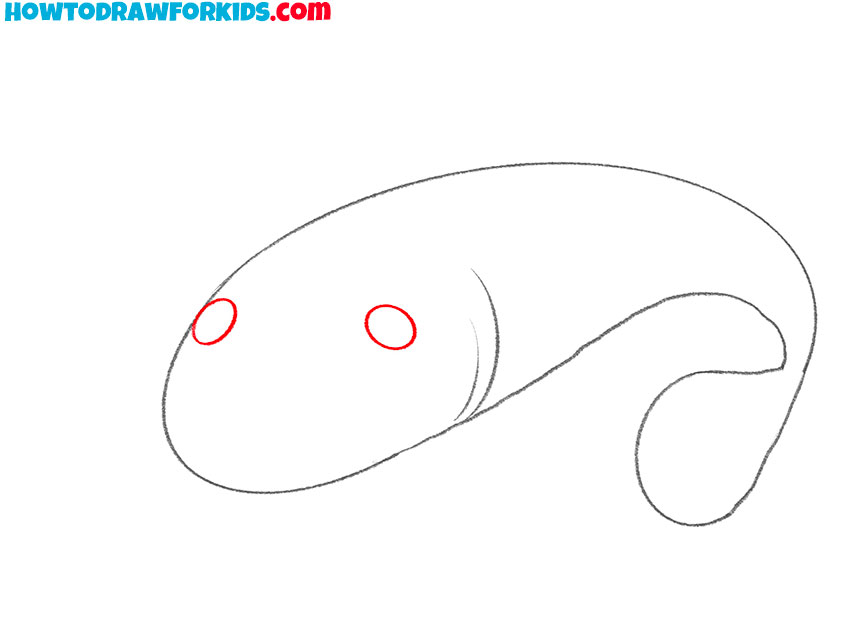 how to draw a catfish for kids