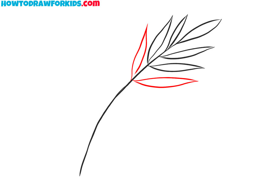 how to draw a fern plant easy