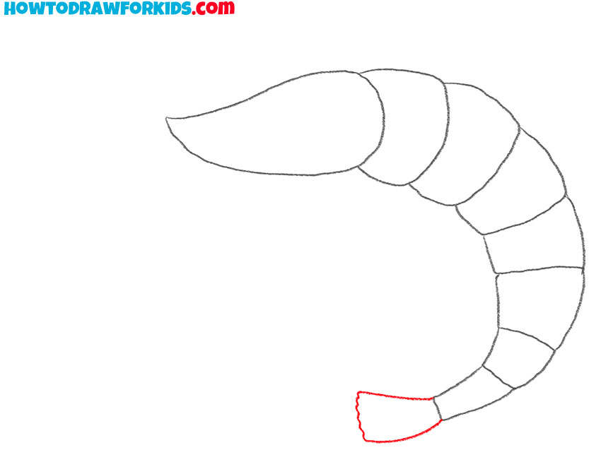 how to draw a shrimp in water
